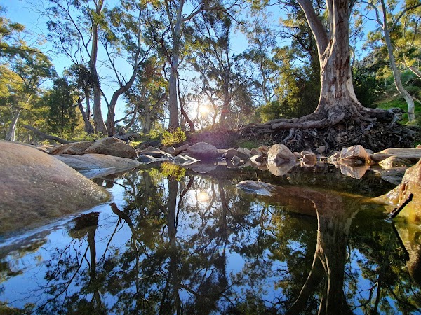 Mambray Creek Campground 5