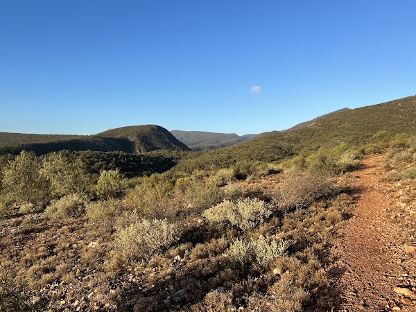 Mambray Creek Campground 4