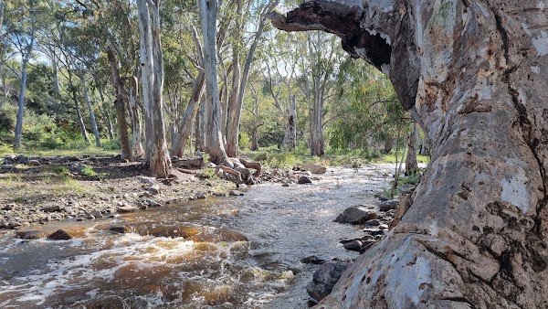 Mambray Creek Campground 3