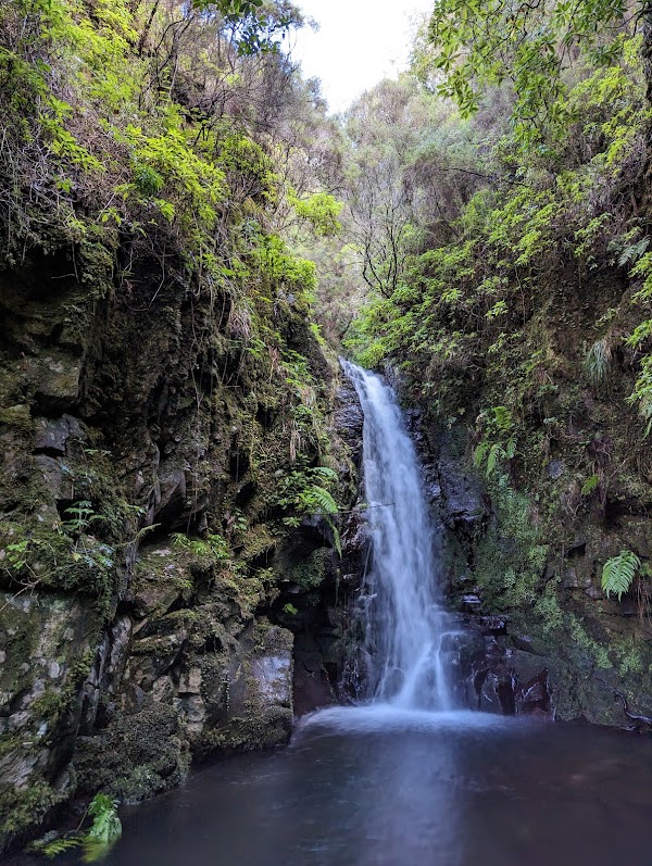 Levada da Rocha Vermelha 1