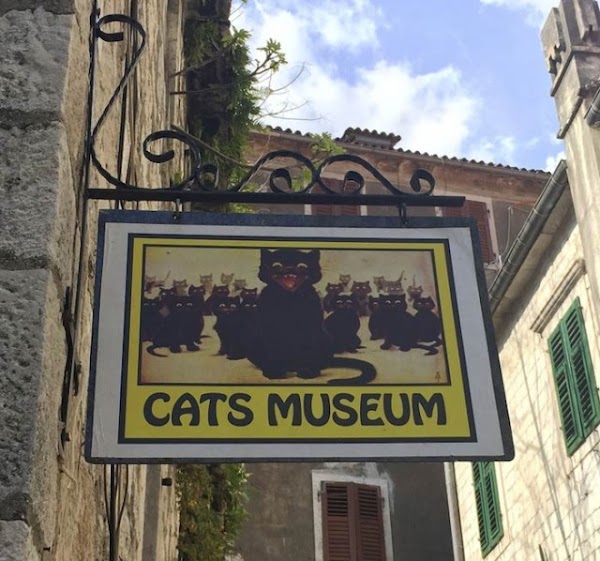 Kotor Cats Museum 4