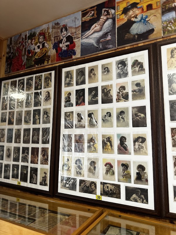 Kotor Cats Museum 3