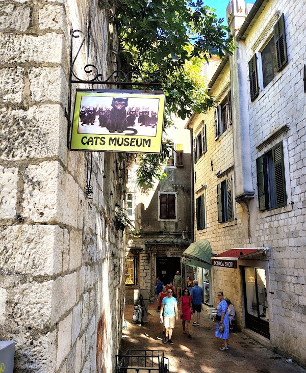 Kotor Cats Museum 2