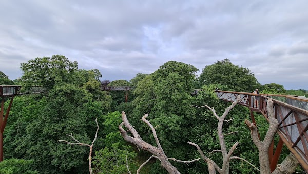 Treetop Walkway 1