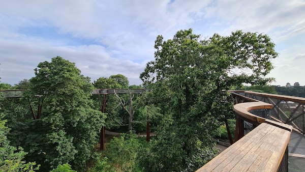 Treetop Walkway 5