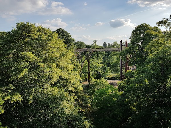 Treetop Walkway 3