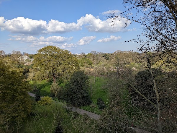 Treetop Walkway 2