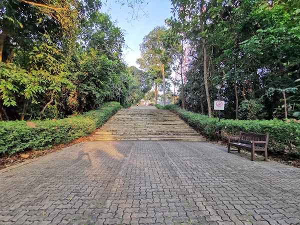 Bukit Batok Nature Park 5