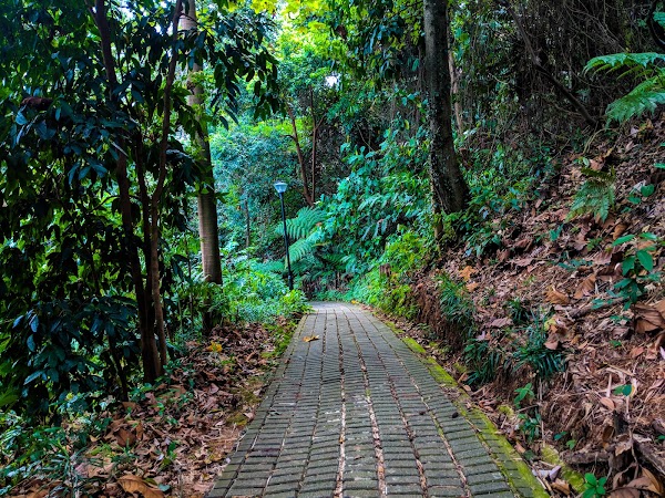 Bukit Batok Nature Park 4