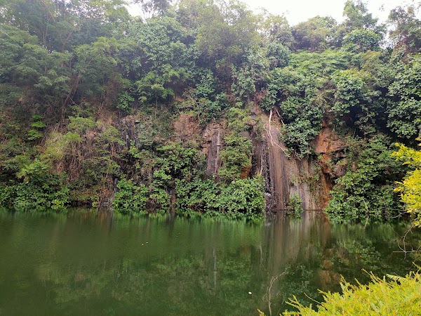 Bukit Batok Nature Park 2