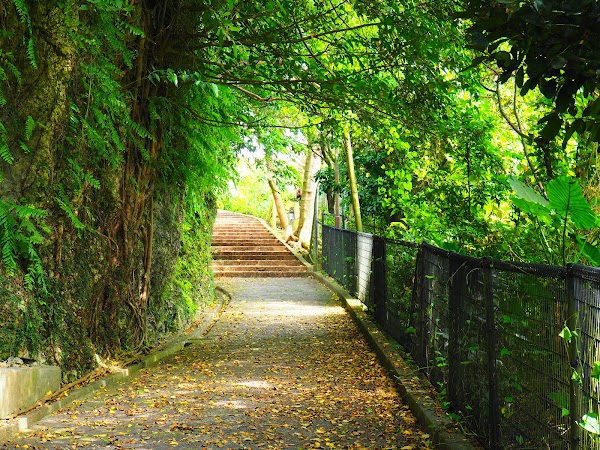 Shuri Kinjo Town Stone-paved Road 4