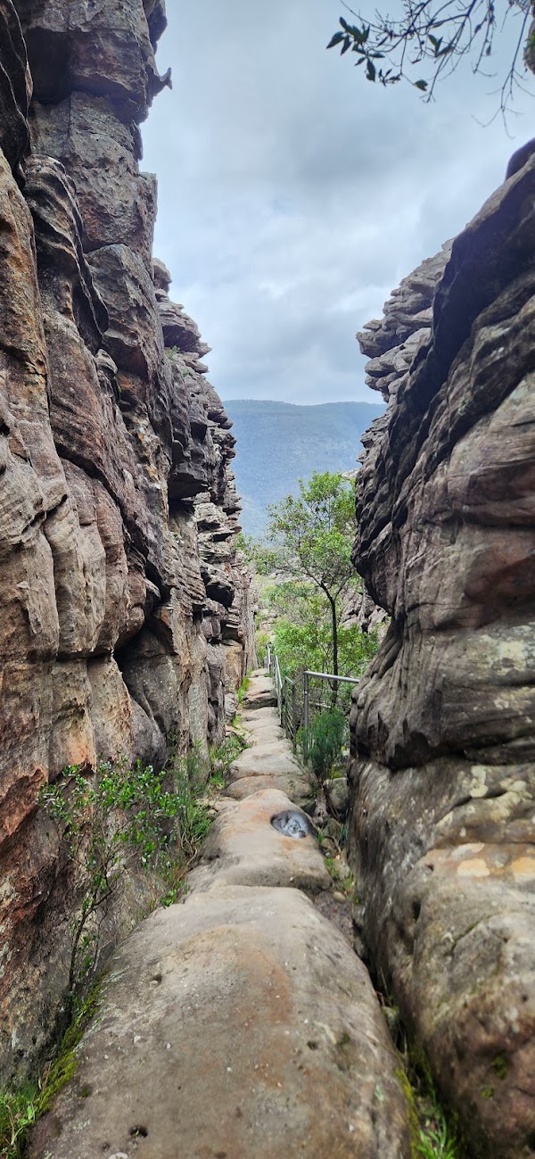Grand Canyon 5