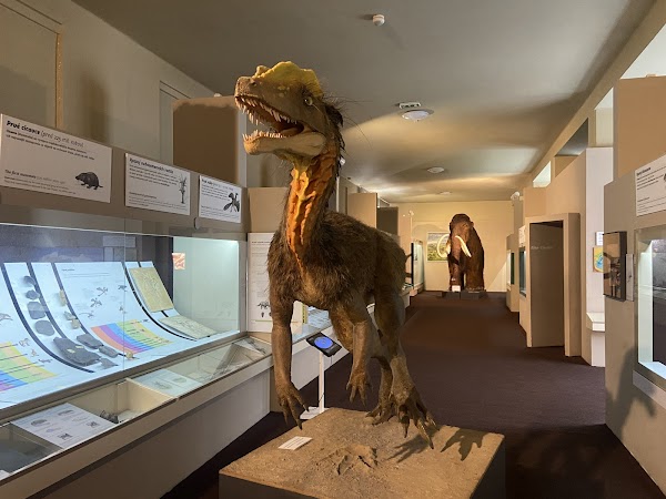 SNM-Natural History Museum 5