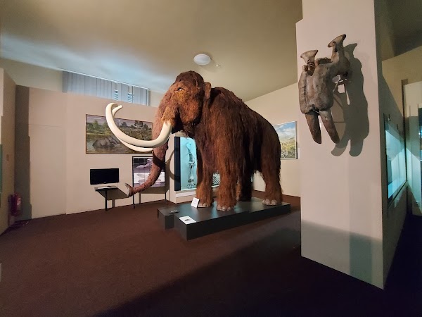 SNM-Natural History Museum 2