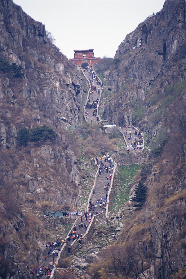 China 44