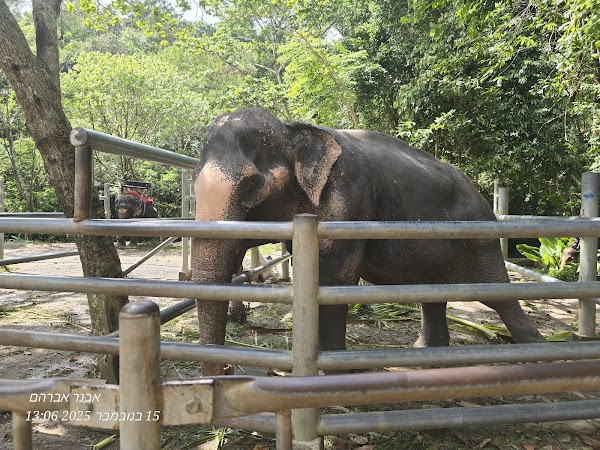 Na Muang Waterfall 5