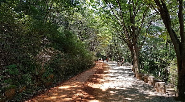Gyejoksan Mountain Red Clay Trail