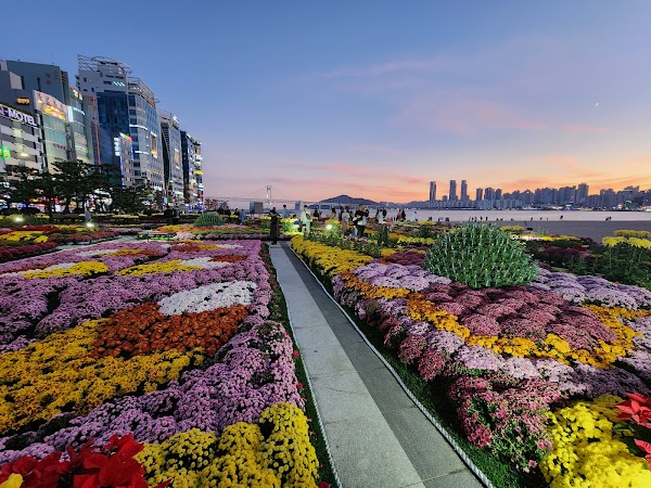 Gwangan Beach Park 5