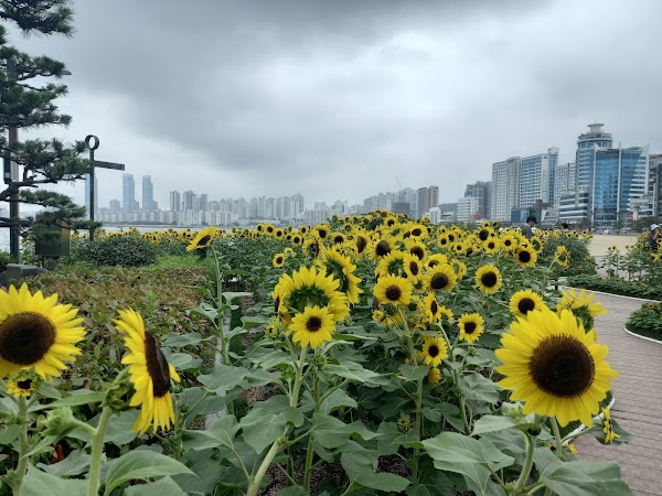 Gwangan Beach Park 2