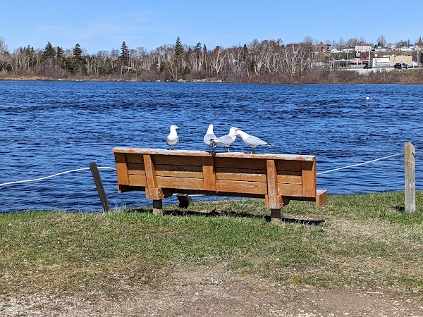 Deer Lake