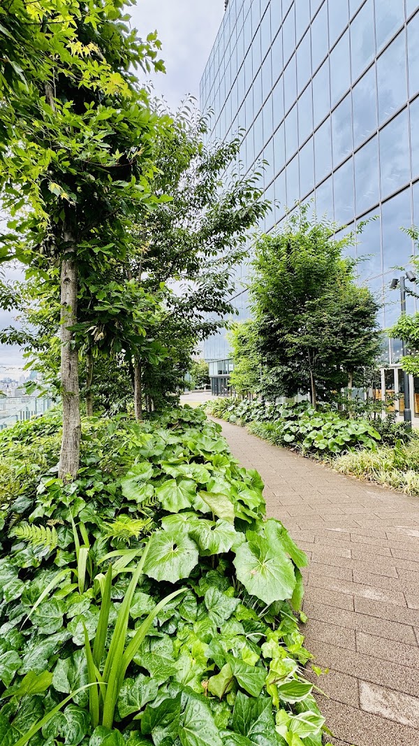 Shibuya Parco Rooftop Park 4