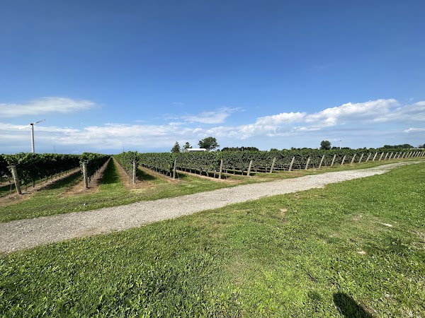Between The Lines Winery 3