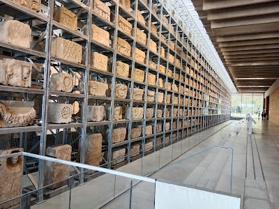 Narbo Via museum