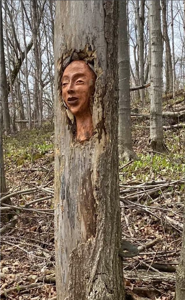 Singhampton Sculpture forest