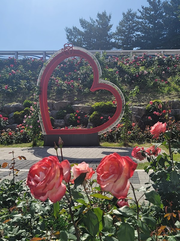 Seoul Rose Festival 3