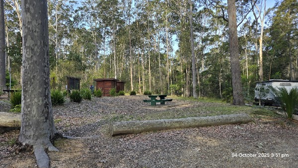 Bodalla Forest Rest Area 1