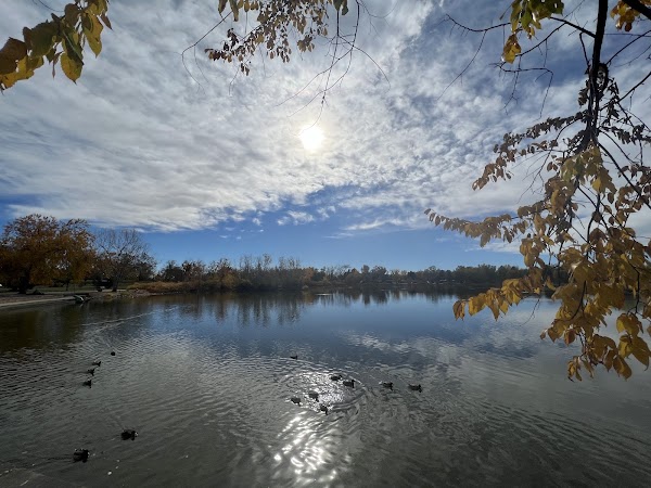 Sheldon Lake