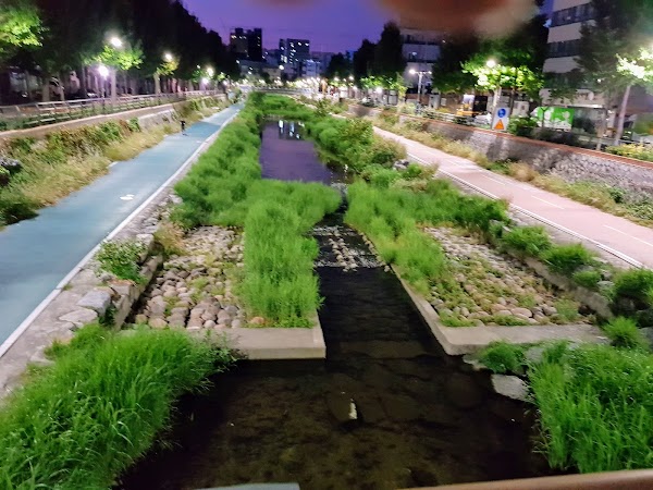 Seoul 71