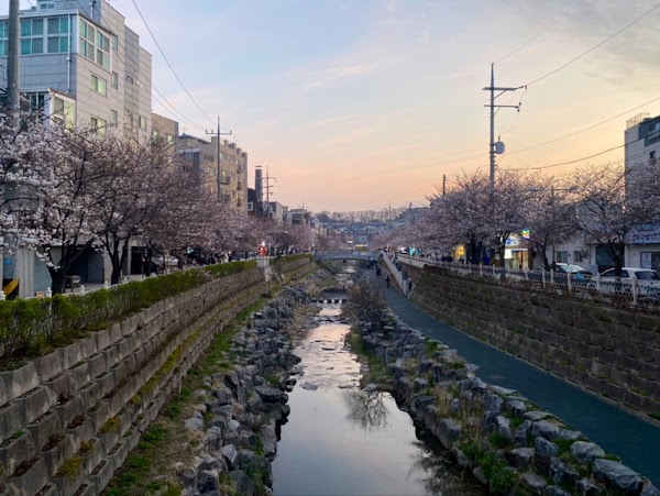 Seongbugcheon 5
