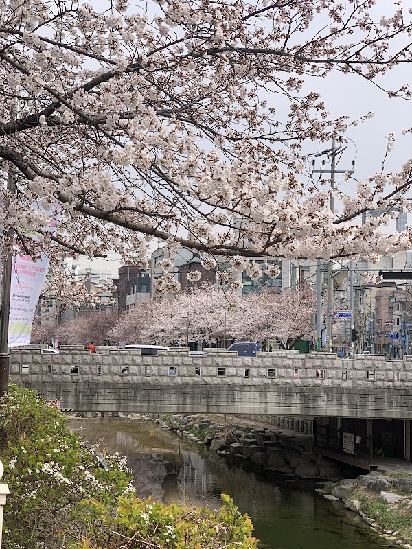 Seongbugcheon 4