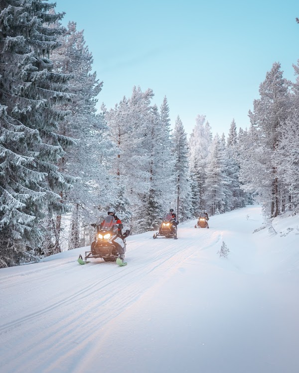 StayLapland - Husky, Reindeer, Snowmobile, and Northern Lights Tours 5