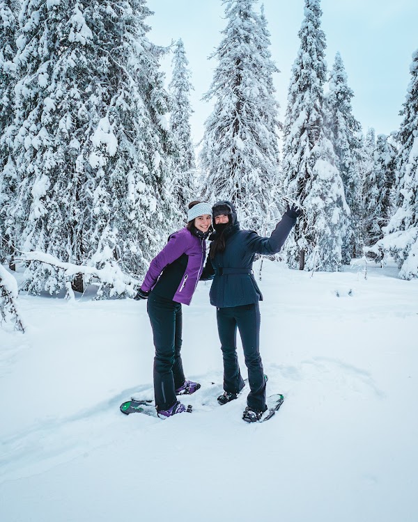 StayLapland - Husky, Reindeer, Snowmobile, and Northern Lights Tours 4