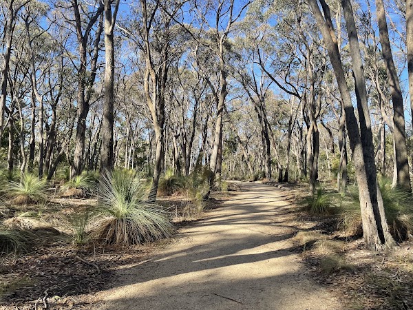 Friendly Forest & Sensory Trail