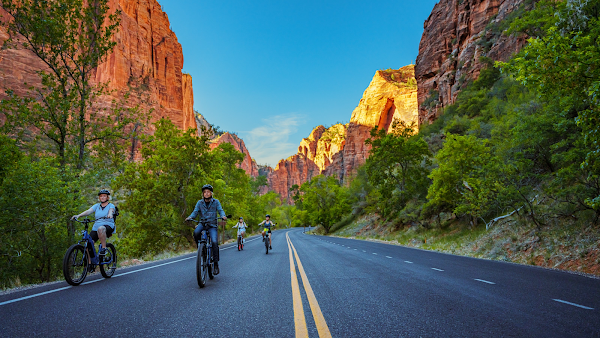 Zion Peddler