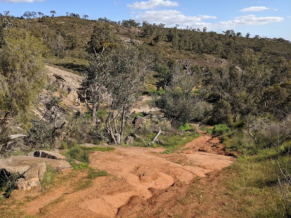 Mundy Regional Park 5