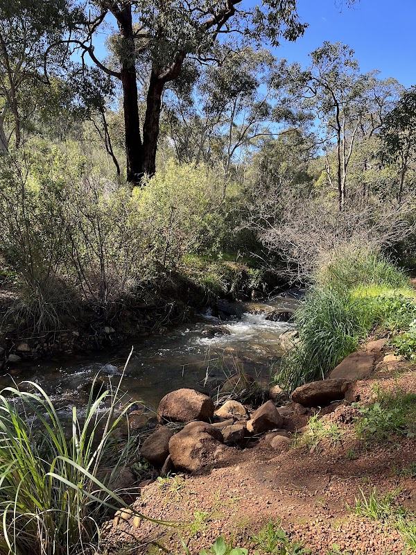 Mundy Regional Park 4