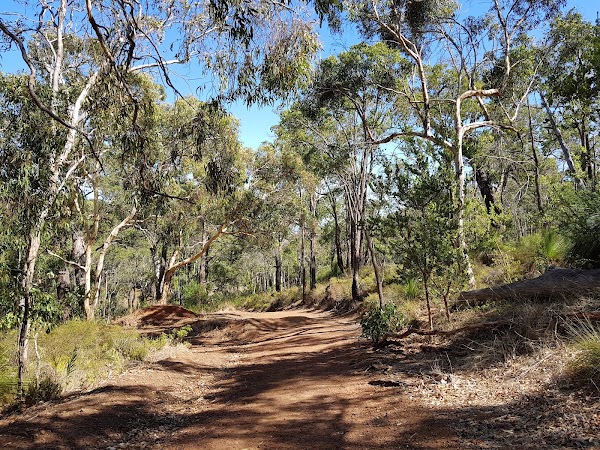 Mundy Regional Park 2