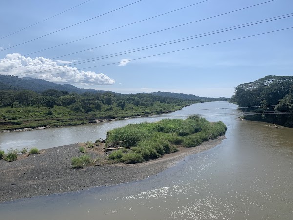 Crocodile bridge