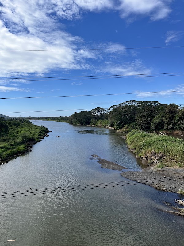 Crocodile bridge 5