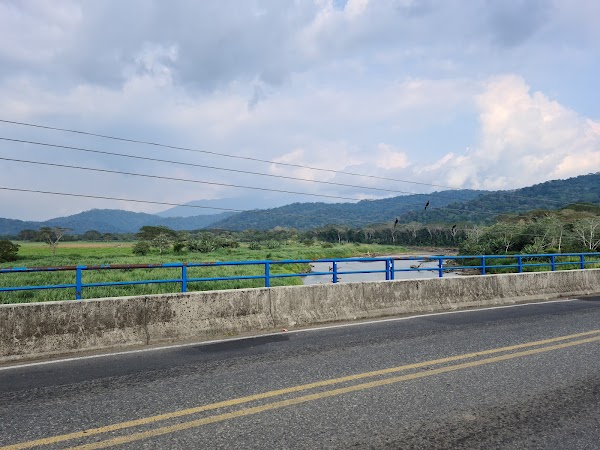Crocodile bridge 4