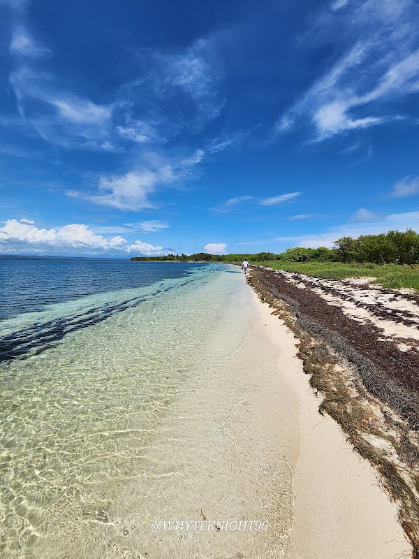 Pigeon Island 5