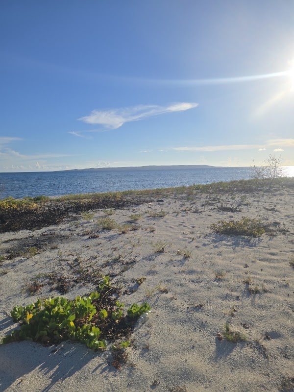 Pigeon Island 4