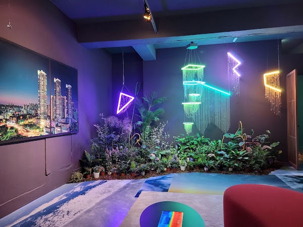 project space SARUBIA 4