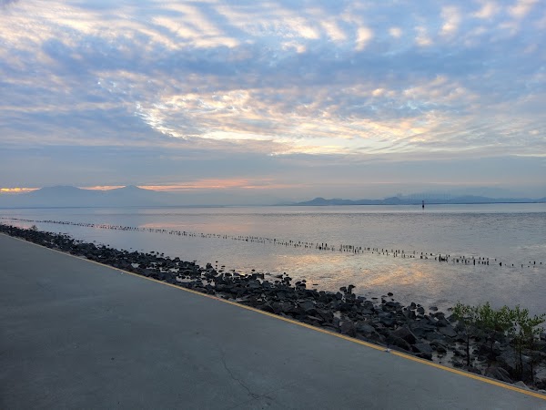 Shenzhen Bay （Houhai Bay） 3