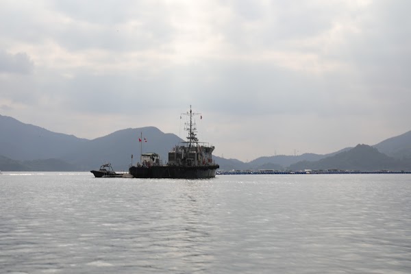 Shenzhen Bay （Houhai Bay） 2