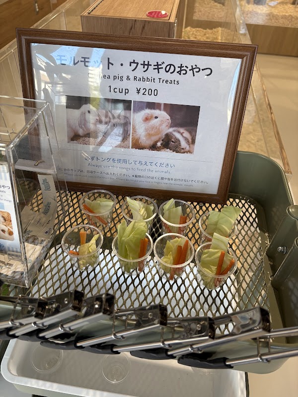 Moff animal cafe CUTE CUBE 原宿店